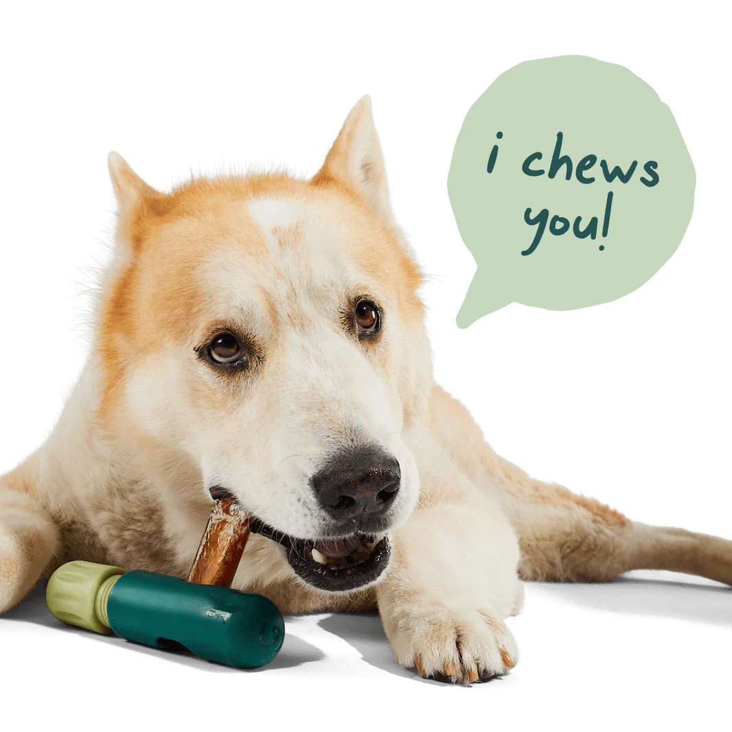 Woof BullySafe Bully Stick & Pizzle Chew Holder