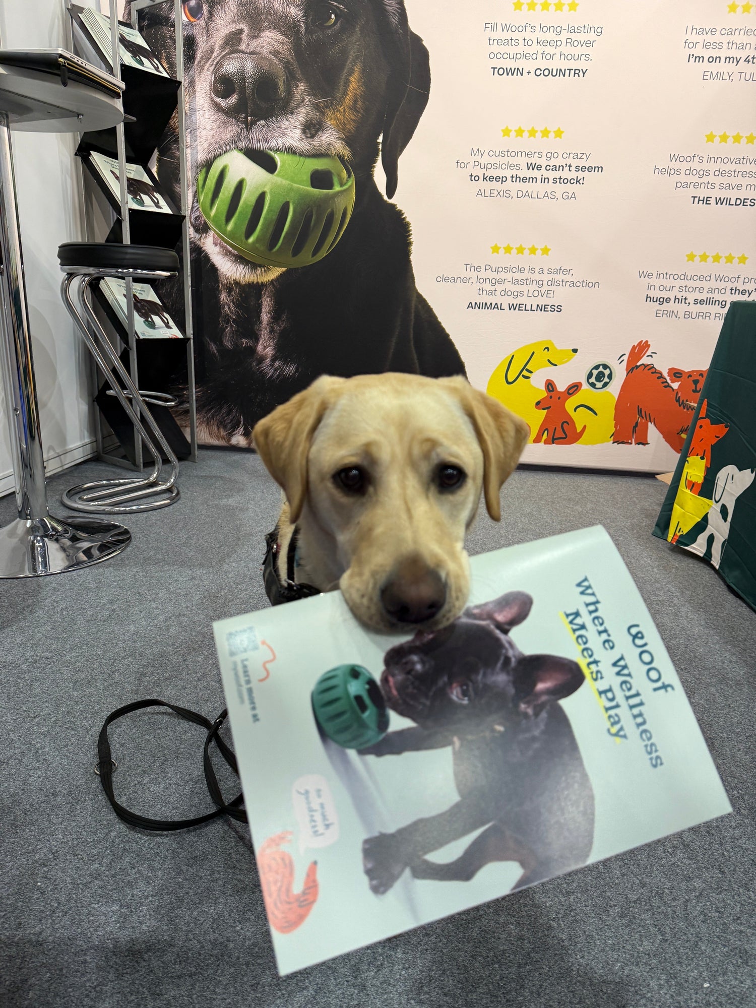 Reebok x Zee.Dog Collab