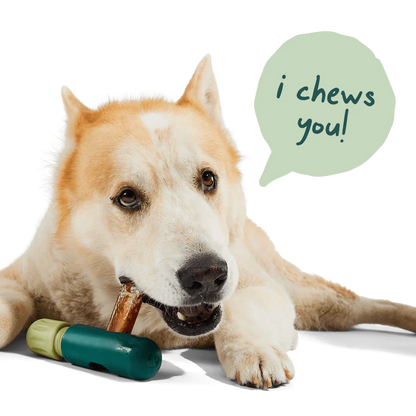 Woof BullySafe Bully Stick & Pizzle Chew Holder